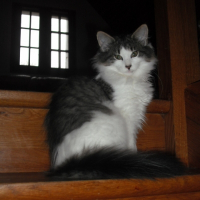 Photo de profil de Praline