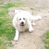 Photo de profil de Noulka