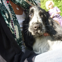 Photo de profil de Fiby