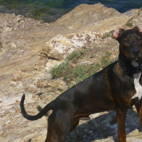 Photo de profil de Horace