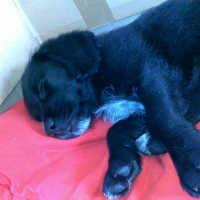 Photo de profil de Guinness