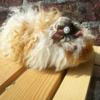 Photo de profil de Zezette