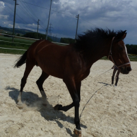 Photo de profil de Eve blanche