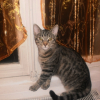Photo de Gribouille