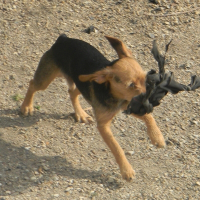 Photo de profil de Eole