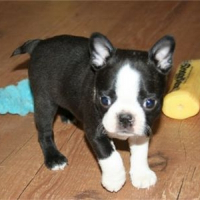 Photo de profil de Crystal