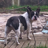 Photo de profil de Dérya