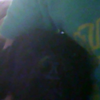 Photo de profil de Butch