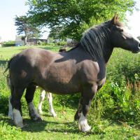 Photo de profil de Maturine