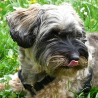 Photo de profil de Ella