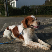 Photo de profil de Ulysse