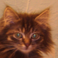 Photo de profil de Chipie