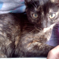Photo de profil de Bulle