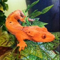Photo de profil de Twistter