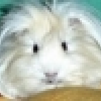 Photo de profil de Chouquette