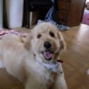 Photo de Teddy