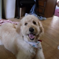 Photo de profil de Teddy