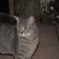 Photo de profil de Funky filou