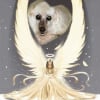 Photo de Laika