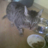 Photo de Catsumi