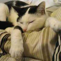 Photo de profil de Gigi