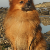 Photo de profil de Dario