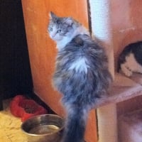 Photo de profil de Minuit