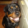 Photo de Blazie boo