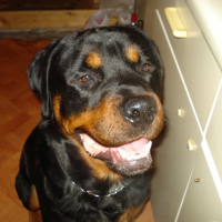 Photo de profil de Blazie boo