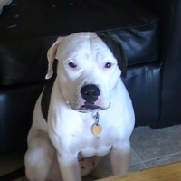 Photo de profil de Lady