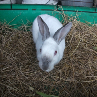 Photo de profil de Neige