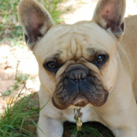 Photo de profil de Cidonie dite cintra