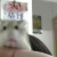 Photo de profil de Kooltie