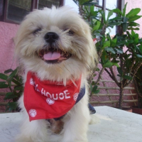 Photo de profil de Presley summer