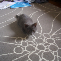 Photo de profil de Eliot