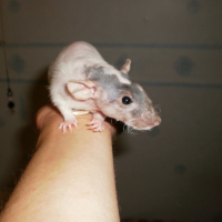 Photo de profil de Holly