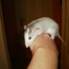 Photo de Hermione