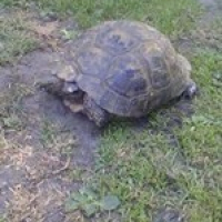 Photo de profil de Maurice