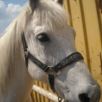 Photo de profil de Ouragan