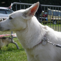 Photo de profil de Sam