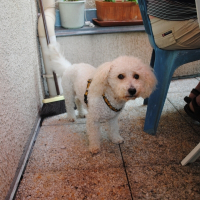 Photo de profil de Bandit