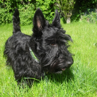 Photo de profil de Dior
