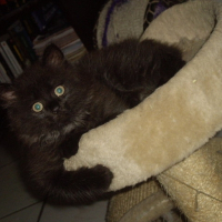 Photo de profil de Skittle