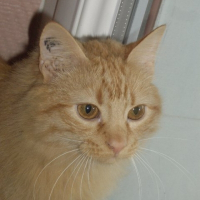 Photo de profil de Mooglie