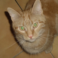 Photo de profil de Barthok