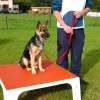 Photo de Gara