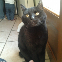 Photo de profil de Titi