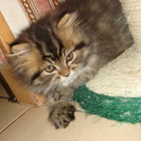 Photo de profil de Danaë