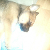 Photo de profil de Gina