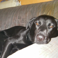 Photo de profil de Yumi